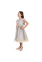 Grey/Gold Jacquard And Tulle Dres With Lace - 3