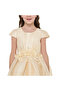 Girls Champange High Low Tail Dress With 3D Applique - 5