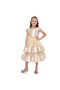 Chic Champagne Satin Party Dress With Mesh & Decoration