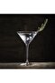 STORSINT Clear Crystalline Glass 24 cl Seamless Stemware by Aaron Probyn - 3