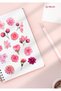 Pink Rose Themed 17 Piece Sticker Label Set - Planner, Agenda, Laptop, Phone, Bullet Journal - 2