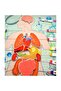 Internal Organs System Felt Wall Panel, Educational Toy - 4