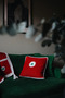 Red Touch Blanket & Throw Pillow Set - 7