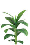 Banana leaf tree plastic basin - 2