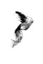 Rimel HD High Definition - 3
