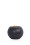 Green corn tree with a round plastic container - 3
