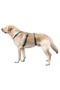 Anti-Escape Dog Collar Petrol Green 55 cm - 74 Cm, m - 6