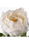 SMYCKA Artificial Peony Flower White, 30 cm | Lifelike, Eco-Friendly, Durable - 2