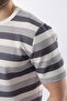 Smoked Crew Neck Striped Men's T-Shirt E7118 - 4