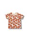 - BOYS T-SHIRT & SHORT SET - 2