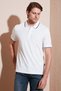Cotton Regular Fit Polo Neck t Shirt Men's Polo Neck t Shirt 5902063