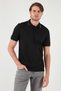 Cotton Regular Fit Polo Neck t Shirt Men's Polo Neck t Shirt 5902063 - 5