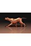 Bronz İngiliz Pointer 3d Figür - 4