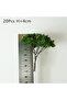 Light Grey 20Pcs Model Trees Train Railroad Micro Landscape Layout Diorama Scale Tree 7cm Decorate B - 4
