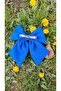 Sax Blue Bow Buckle