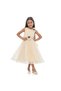 Girls Champagne Tulle Dress