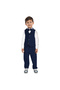Navy Waistcoat And Pant Set With Shirt And Bow Tie