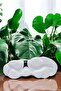 A 10980978   White Women's Sneaker - 4