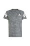 Remera Icon 3 Men's T-Shirt