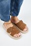 Women's Genuine Leather Single Strip Tan Slippers - 2