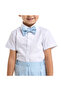 Lt Blue Waistcoat And Pant Set With Shirt And Bow Tie - 3
