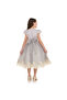 Grey/Gold Jacquard And Tulle Dres With Lace - 4