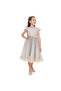 Grey/Gold Jacquard And Tulle Dres With Lace