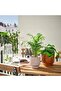 HONUNGSPALM Plant pot, in/outdoor/beige, 9 cm - 3