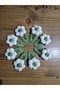Green Daisy Knitted Buckle