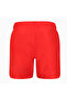 Men's Red Swimwear Shorts ( 935194 -02) - 6