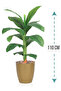 Banana leaf tree plastic basin