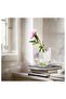 RÄFFELBJÖRK Vase, mother-of-pearl colour, 12 cm - 3