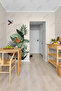 Tropical Parrot and Leaf Lounge-Living Room Door-Wall Adhesive Sticker Set - 5