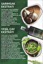 Rosemary Water Anti-Shedding and Fast Growth Tonic 250ml + 250ml - 6