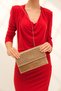 Gold Glass Stone Women's Portfolio Clutch Evening Dress Bag - 5