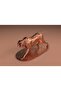 Bronz İngiliz Pointer 3d Figür - 3