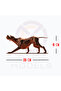 Bronz İngiliz Pointer 3d Figür - 6