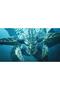 Monster Hunter Wilds Ps5 - 4