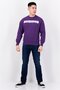 Men Crew Neck Long Sleeves Brand Logo Sweatshirts, Purple - 2