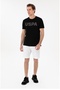 U.S. Polo Assn Crew Neck Regular Fit Uspa Printed T-Shirt - 2