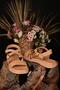 Anatomical Orthopedic Genuine Leather Comfortable Sole Women's Sandals Stylish and Pleasing Appearance