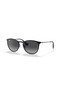 Sunglasses Rb3539 002/8g Black Erika Metal