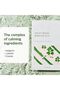 ROUND LAB Mugwort Calming Sheet Mask (Unscented) - 8