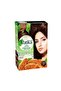 Natural Brown Organic Henna Hair Color Powder (60g)