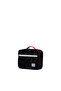 Pop Quiz Lunch BoxSpecialty--5 - 2