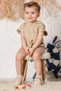 Baby Kids Camel Hooded Shorts Cotton Comfortable 2-Piece Set Trend Fashion Bottom Top Set - 4