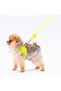 Neon Yellow Leash Cat Dog Leash & Leash Dog Extension Leash - 7
