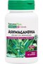 NP HERBAL ACTIVES Ashwagandha Extract 450mg Nature's Plus 60 Caps