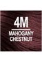 Permanent Hair Colour | For Long Lasting Grey Coverage | 4M-Mahogany Chestnut 165Ml:1013 - 5