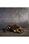 Gold Beagle 3d Figür